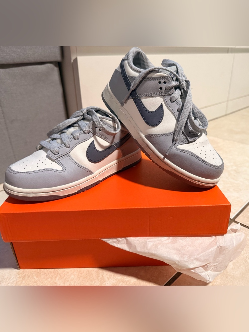 Nike Dunk Low “Grey Fog” Kids Sneakers